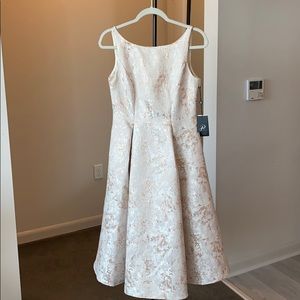 Size 4 Adrianna Papell Dress